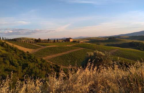 Agriturismo Podere Marcampo - Foto 29