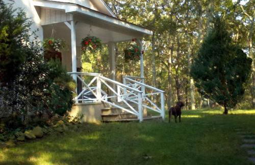 Private Home near Ocean Beaches, Nature Preserve - Foto 8