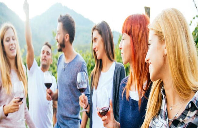 Escursione enologica di un'intera giornata al Monte Tamborine da Brisbane - Foto 1