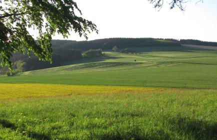 Stollenklause - Foto 34