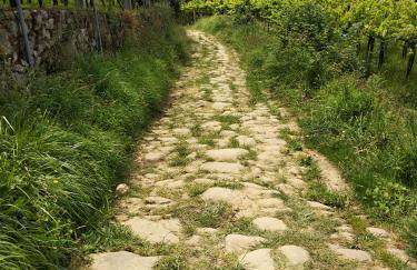 OFERTA ESPECIAL ÚLTIMA HORA - SARAKATUA15 - vistas espectaculares - familias y parejas - 2 dormitorios independientes - amplio salón cocina comedor - tarjeta parking OTA GRATIS - Julio y agosto estancia mínima 7 noches de domingo a domingo - - Foto 57