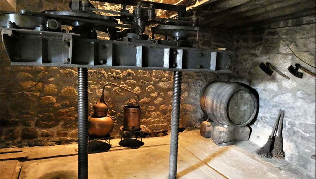 Você aprenderá a história completa da vinícola