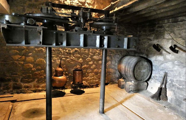 Visite des caves J.F. Iradier - Photo 5