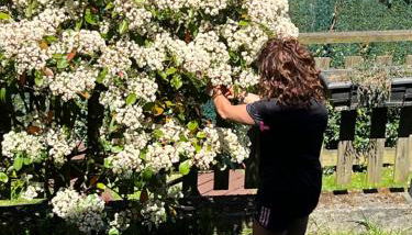 Casa Cerezal - Foto 3, Garden