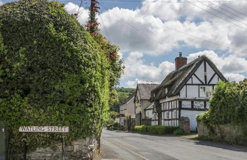 Fern House - Foto 26