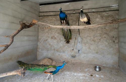 Reul Alto Cortijos Rurales - Foto 54