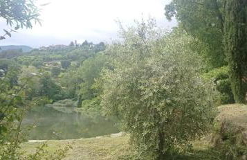 35-Casa Turrini Amiata, Aria condizionata, Val d'Orcia, Toscana, Sport, Natura - Foto 36