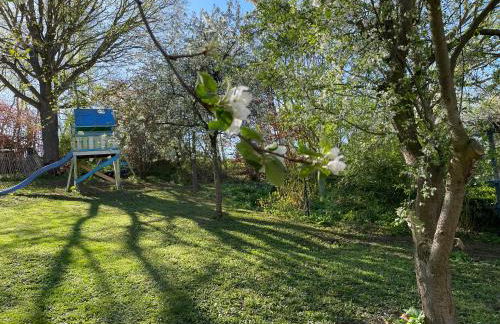 Ferienhof"WaldEsel Rippersroda" - Foto 30