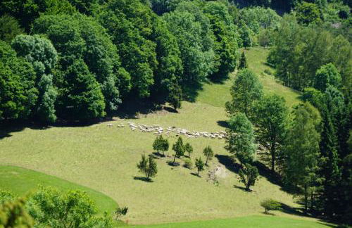 Ferienhaus Heck - Foto 23