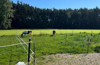 Sky Ranch 1 BR - Foto 16