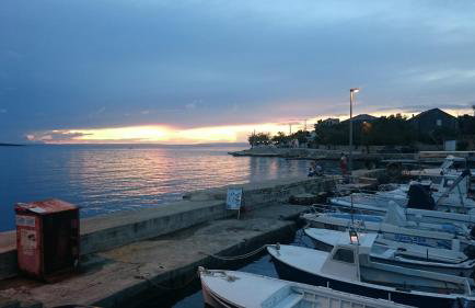 Apartmani Badurina - Maslina - Photo 15