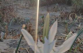 VILLA VERDEMARE - Foto 50