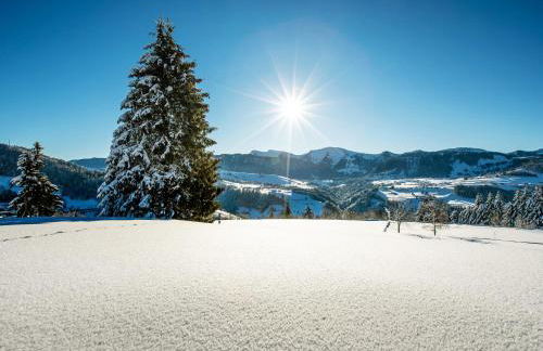 Allgäu Luxury Apartment Berglöwe mit Sauna - Photo 37
