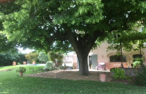 Stunning property between Alpilles and Luberon - Foto 38