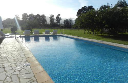 Monica di Sorbo - Foto 23