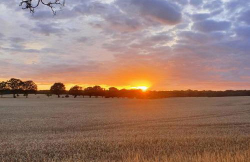 Kugelhaus Nordlichter - Skandinavischer Rückzugsort in runder Form am Tollensesee - Foto 26