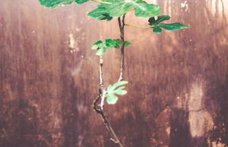 Casa Marlene - Foto 56