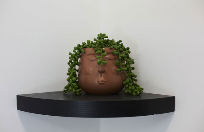 BV Royal Comfy Studiosuite Queensgate Huddersfield - Photo 77