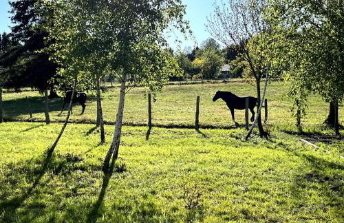 Cabane de Mardil - Foto 13