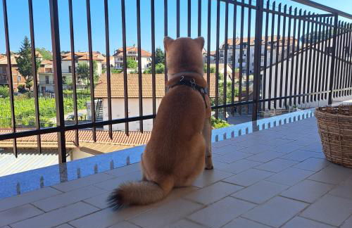 Casa Marilyn - Foto 17