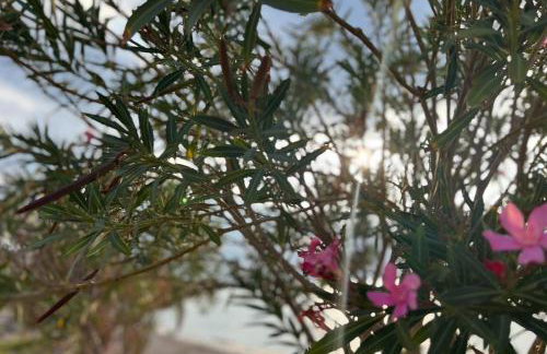 The White House - Aianteio - Foto 63