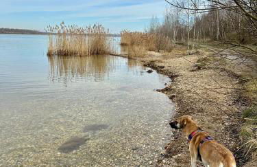 Hohe Gäste Naumburg - zentral, barrierefrei, Hunde willkommen - Foto 27
