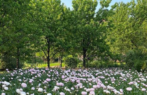 Villa Mi, Rukavac Opatija Riviera - Photo 79