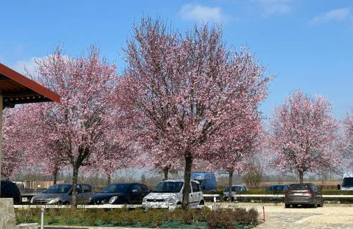 Il Poggio Agrisport - Foto 19