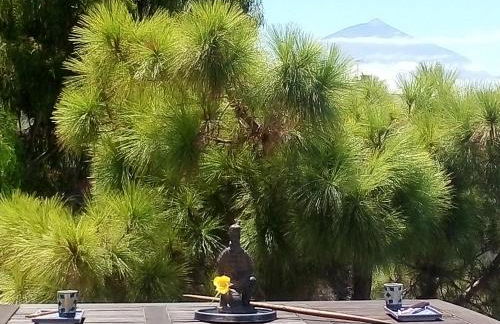 ZenRepublic, your private villa with outdoor jacuzzi & pool with stunning ocean views - Foto 32