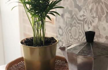 Tabula House - 4 ELEMENTS - Foto 13