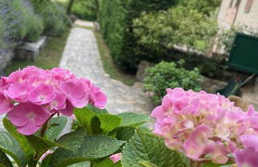 “SPArisio” CASA IN SASSO CON PISCINA E CAMPO DA TENNIS - Photo 11