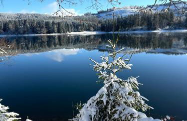 Rennsteig-Pension Trautwein - Foto 39