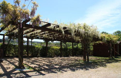 Podere la Campagnola - Foto 37