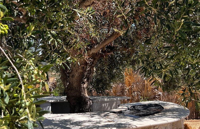 Villa in the Mountains Hammamet - Foto 51