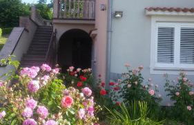 Apartments Ljubas - Foto 8