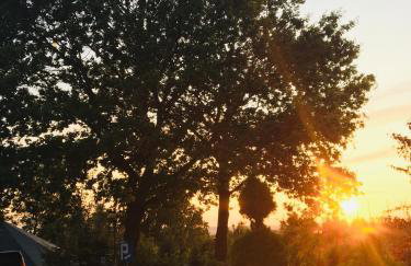 Mała Wenecja - pokoje gościnne - Foto 13