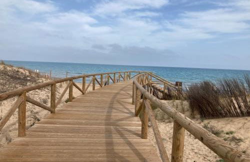 Casa Flamencos - Photo 14