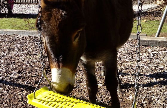 AAA Granary Accommodation - Foto 32