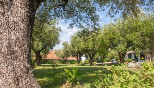 Casa Palinuro Vacanze fronte spiaggia - Photo 4, Garden