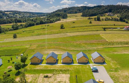 Domki Bieszczadzkie Marzenie 781-966-947 - Photo 26