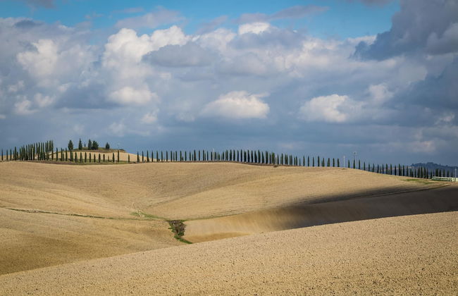La Palazzina in Monteroni D Arbia - Foto 40