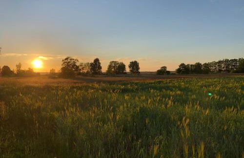 Am Achterwasser DORF 12 - Foto 63