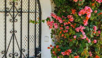 Beautiful beach house in Estepona - Photo 2