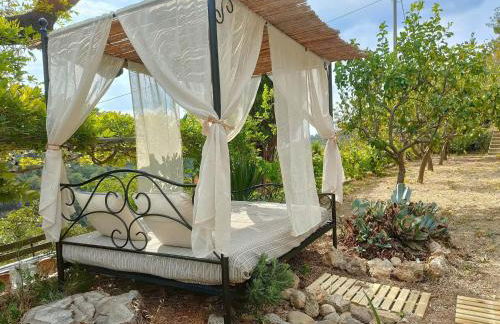 RIVIERA DOLCE VITA - Photo 6