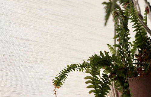 Hyem at Cullercoats - Foto 46