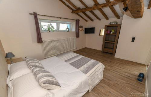 Gites De La Grande Borderie - Photo 38