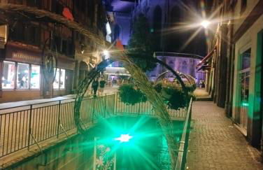 Gîte Le Marronnier, parking et terrasse au calme, entre Colmar-Riquewihr et Obernai, vue sur espaces verts et coteaux d Alsace, route du vin-châteaux - Foto 63