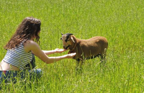 Quinta da Tapada - Foto 32