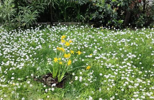 Grigio Perla Panigale, villetta con giardino, 3 camere, parcheggio privato fino 3 posti auto - Un oasi di tranquillità - Vicina all'Aeroporto, Unipol Arena e Fiera - Photo 65