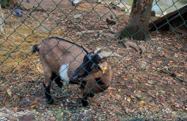 Il bosco sul Tevere Guest house - Foto 33